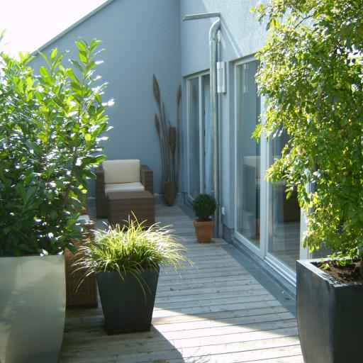 Grüne Dachterrassen